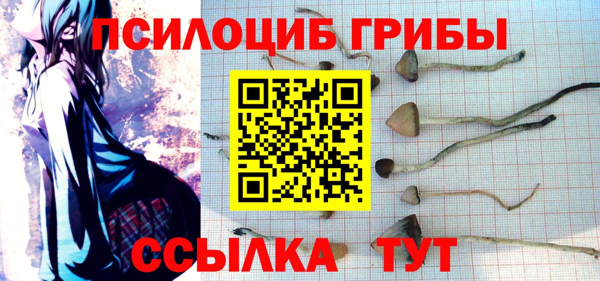 Галлюциногенные грибы MAGIC MUSHROOMS Михайловск